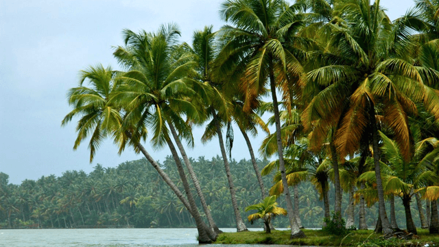 Kerala